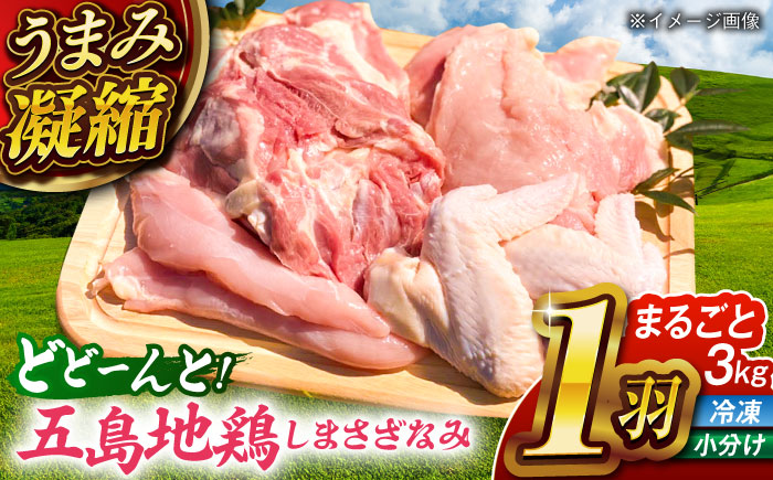 超新鮮 五島地鶏 しまさざなみ1羽分セット 約3kg 鶏肉 鶏 肉 冷凍 五島市/五島さざなみ農園 [PBE001]