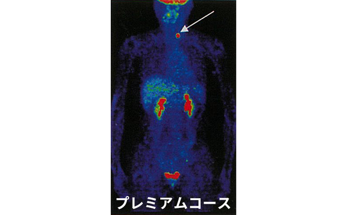 
P1 プレミアムコース [№5704-0596]
