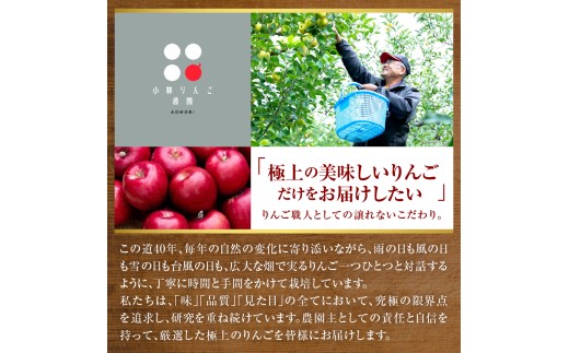 【先行受付】【11月中旬以降順次発送】 りんご 3kg ぐんま名月 【訳あり】 青森県産  群馬名月 名月 農家直送 傷 キズ ワケアリ 林檎 リンゴ apple 青森県 五所川原市
