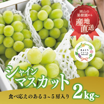 【2026年先行予約】シャインマスカット3-5房/計2kg～(岡山県産)【配送不可地域：離島】【1548980】