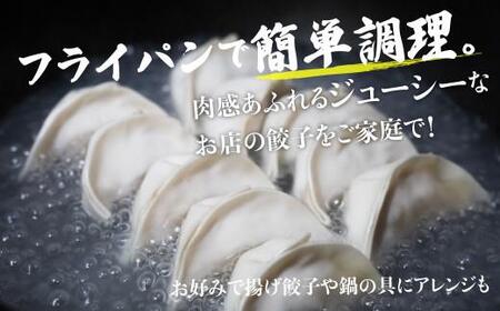 高山餃子 30個入り お試しパック ＜ 生冷凍餃子 ・ 簡易包装 ＞ FN003 ｜高山市 ギョーザ
