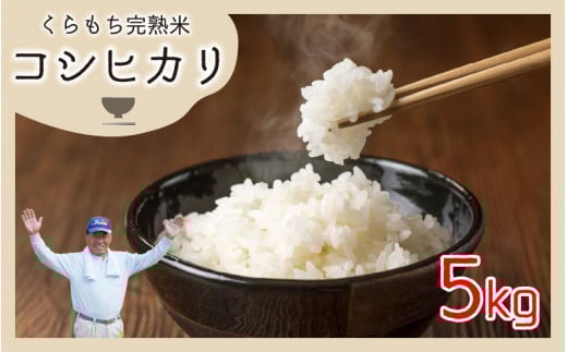 【令和6年産】くらもち完熟米 コシヒカリ 5kg ｜ 米  白米 精米 国産 ごはん ご飯 白飯 国産米 完熟 熟成 送料無料 産地直送 農家直送 福井県 高浜町 コシヒカリ こしひかり  美味しい 5㎏