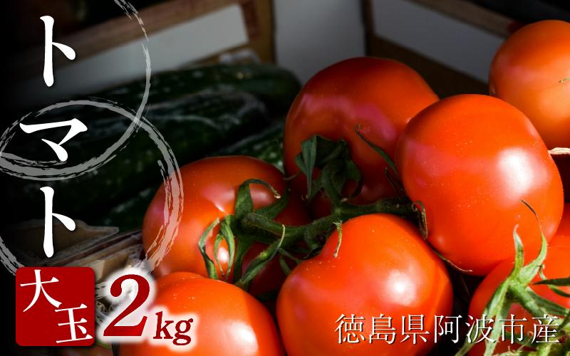 
                  トマト 大玉 2kg  野菜 やさい トマト ジュース パスタ スパゲティー ソース サラダ ドレッシング サンドイッチ ハンバーガー ピザ カレー お取り寄せ グルメ 送料無料 徳島県 阿波市 ヴェリタス株式会社
                