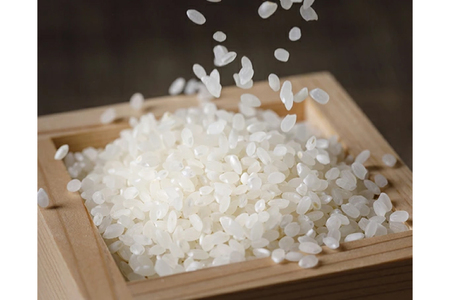 米 令和7年 のと米 こしひかり 精米 10kg 3回定期便 計30kg [はくい農業協同組合 石川県 宝達志水町 38601272]