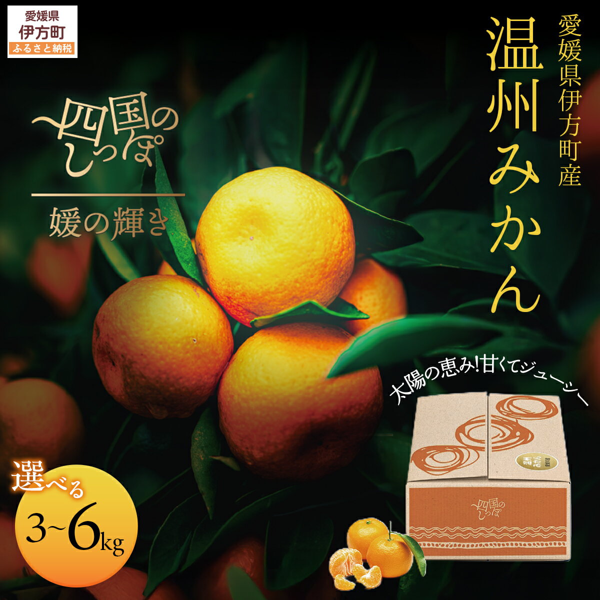 【ふるさと納税】 【愛媛県伊方町産】太陽の恵み！甘くてジューシーなみかん 媛の輝き 選べる 3kg ～ 6kg（2025年11月下旬頃より順次発送）【 ランキング みかん ミカン 柑橘 媛の輝き 温州みかん 果物 フルーツ 伊方サービス 愛媛県産 愛媛県 伊方町 送料無料 】IKTE005