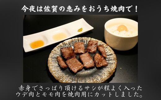 画像はイメージです。実際のお届けは500g。本返礼品は真空パックでお届け致します。返礼品以外のものは含まれません。