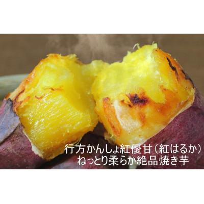 ふるさと納税 行方市 熟成紅はるか冷凍焼き芋 約2.3kg