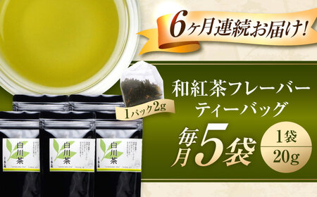 【6回定期便】香る 煎茶フレーバー ティーバッグ 5袋セット お茶 国産 岐阜 白川町 / 菊之園[AWAG006]