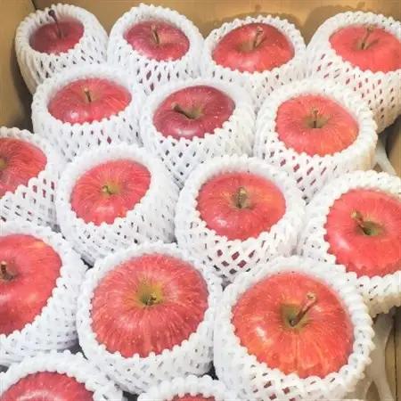 【青森ごのへ産】味に自信 りんご  サンふじ 約5kg【配送不可地域：離島・沖縄県・中国・四国・九州】【1034082】