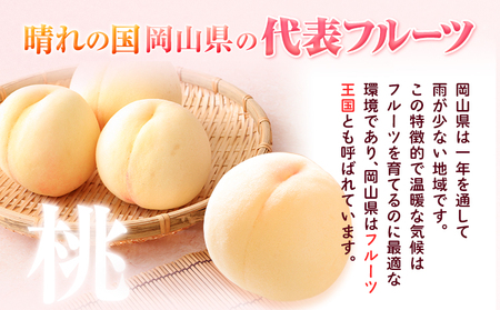 訳あり 清水白桃 約4kg 桃