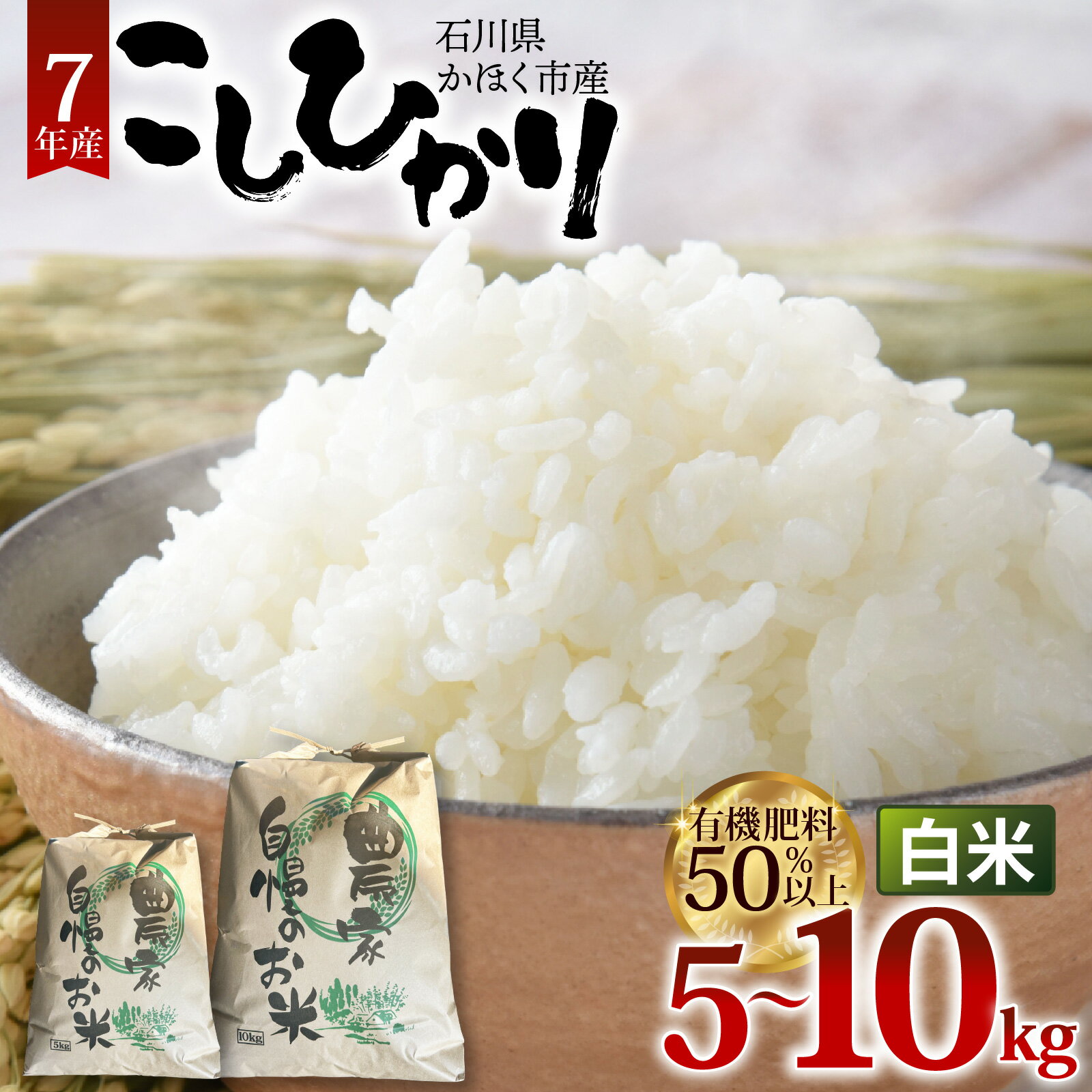 【ふるさと納税】【令和7年産】【選べる容量】コシヒカリ 白米 5kg ～ 10kg | コシヒカリ 精米 白米 お米 こめ コメ 5キロ 10キロ 単一原料米 国産 食品 常温 ご飯 お取り寄せ 送料無料