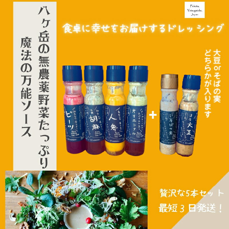 【ふるさと納税】 ドレッシング 200m 5本 セット 有機 野菜 調味料 人参 ビーツ 胡麻 オリエンタル 大豆 そばの実 万能 フェリチタ 送料無料