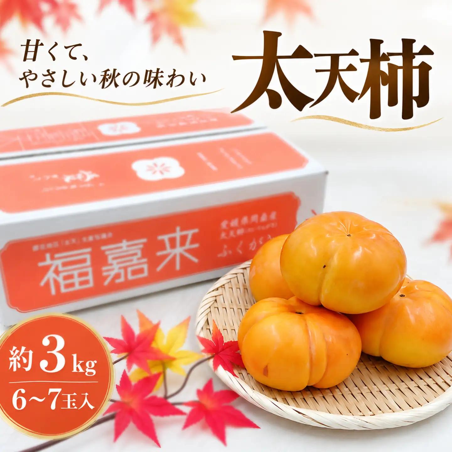 太天柿 6～7玉 約3㎏ （JA東予園芸）【先行予約】渋抜き柿