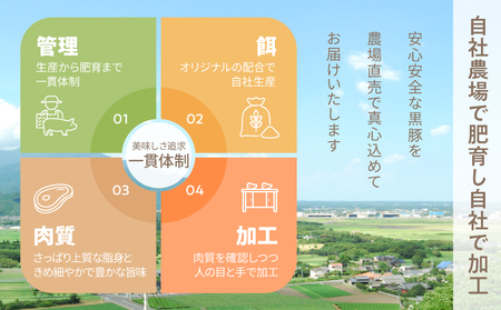 【 期間限定 生活応援 】 鹿児島県産 黒豚ロース しゃぶしゃぶ 500g、ロース とんかつ 4枚 KN054-020-cp 国産 黒豚 豚肉 豚 ロース 豚カツ 小分け 冷凍 お肉 スライス 薄切り