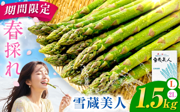 【春アスパラ】雪蔵美人 アスパラガス 計1.5kg（2L・L） | アスパラ グリーンアスパラ アスパラガス 北海道 春野菜 | JAびばい [BOCC004]