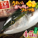 【ふるさと納税】【年内配送】ブリ 平戸なつ香 約4〜5kg【坂野水産】 鮮魚 夏香 なつ香 [KAA003] ブリ ぶり 鮮魚 刺身 長崎 長崎県