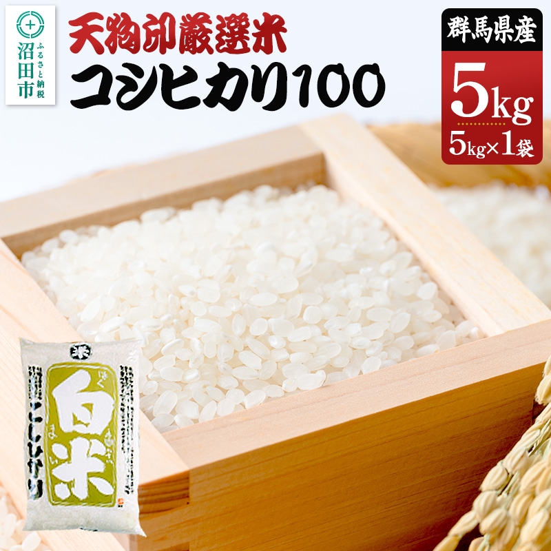 令和7年産 天狗印厳選米「コシヒカリ100」5kg 精米 白米 こしひかり