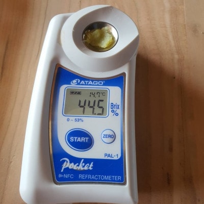 【人生で一度は食べたい】100日熟成ギリギリまで糖化シャトーブリアン焼き芋2026年2月中旬～発送【配送不可地域：離島】