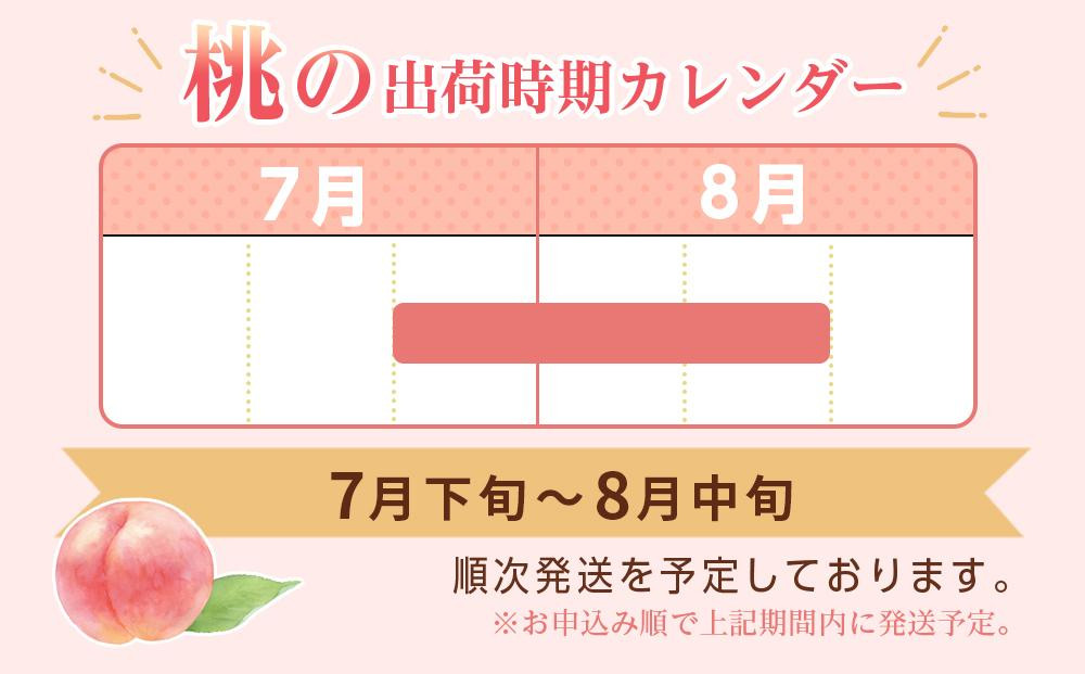 和歌山県産 川中島白桃 5～8玉入り 秀品 先行予約【2025年7月下旬以降発送】［MG7］