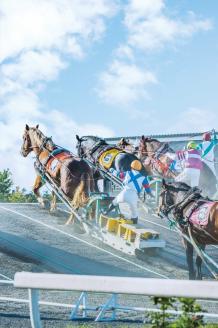 北海道帯広市 ANAトラベラーズダイナミックパッケージ割引クーポン15,000点分