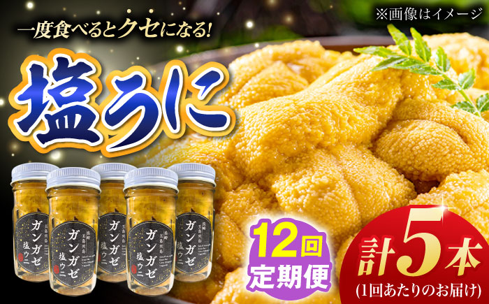 【全12回定期便】厄介うに ガンガゼ塩うに 70g×5本 / ウニ 雲丹 五島市 / うた丸 [PGA008]