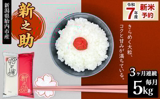 16-S53【3ヶ月連続お届け】新潟県胎内市産ちょっと贅沢な新之助5kg