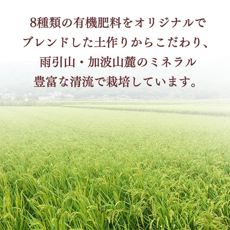 令和7年産 桜川市の 厳選 甘引米 コシヒカリ 食べ比べセット（玄米・精米） 特別栽培米 コシヒカリ こしひかり 玄米 精米 米 こめ コメ 有機肥料 桜川市産 茨城県 いばらき [BA002sa]