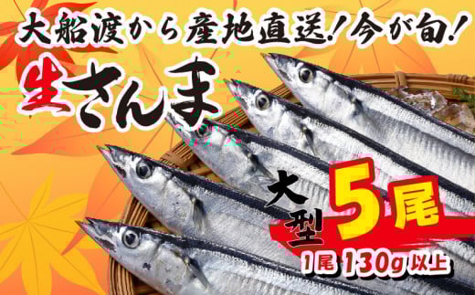 【先行予約受付】 さんま 大型5尾 冷蔵 期間限定 [発送:2025年9月～2025年11月下旬] 三陸 岩手 大船渡市