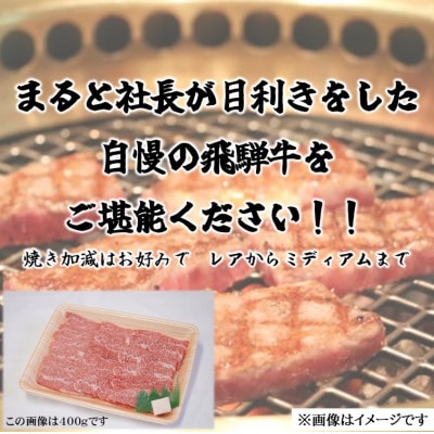 【飛騨牛】赤身焼肉　400g【配送不可地域：離島】