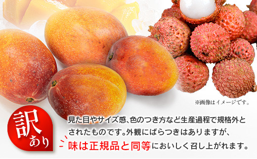 ＜訳あり＞ 完熟 マンゴー 約1kg ＆ 生ライチ 300g 果物 フルーツ 宮崎県産 特産 セット