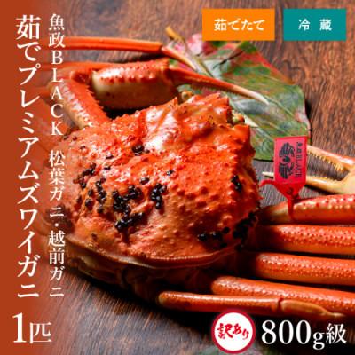 ふるさと納税 京丹後市 【魚屋から直送】訳あり茹でプレミアムズワイガニ魚政BLACK中サイズ1匹(2026年1月〜順次発送)