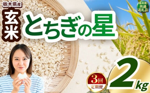 【定期便3回】いちご農家さん応援米！ 訳あり 令和7年度産 玄米 約2kg とちぎの星 |  真岡市産 米  お米 こめ 玄米 ご飯 ごはん とちぎの星 大粒 限定 ふるさと納税 先行 予約 栃木県 真岡市 送料無料