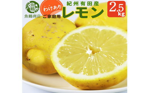 
                  【訳あり・ご家庭用】紀州有田産レモン　約2.5kg【予約】 レモン れもん 果物 柑橘【2027年2月下旬頃〜2027年3月中旬頃に順次発送予定(お届け日指定不可)】
                