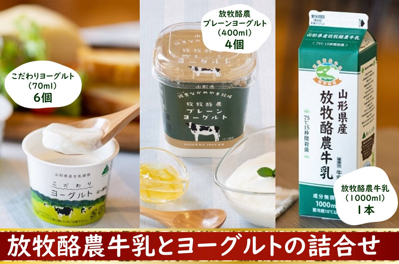 放牧酪農牛乳とヨーグルトの詰合せ