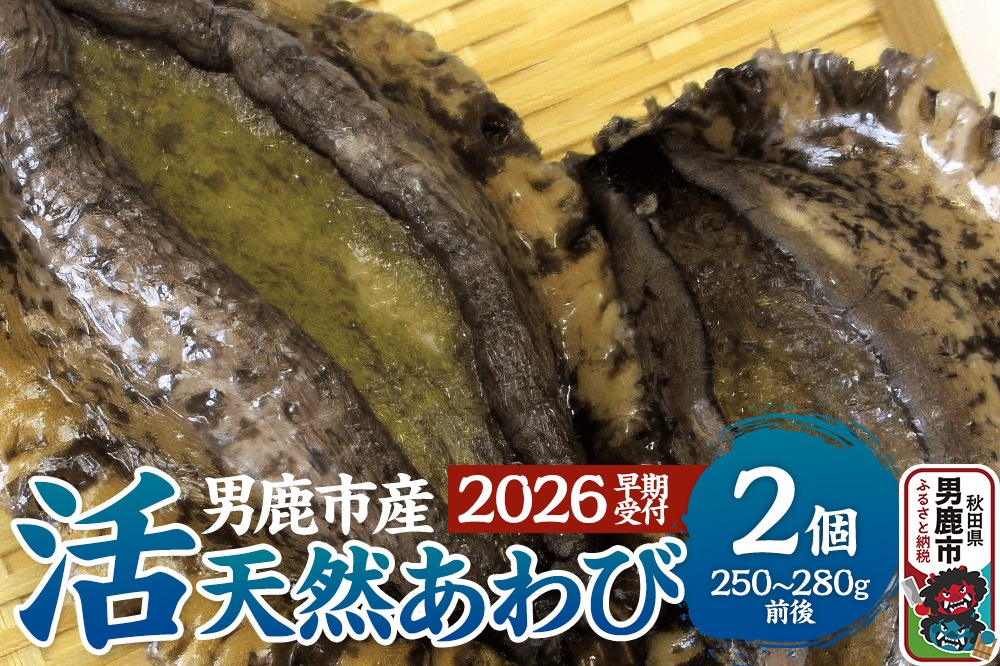 《7月下旬より出荷》男鹿産天然鮑 1～3個 (約450～500g) あわび アワビ 秋田 男鹿産|23_wtr-090101