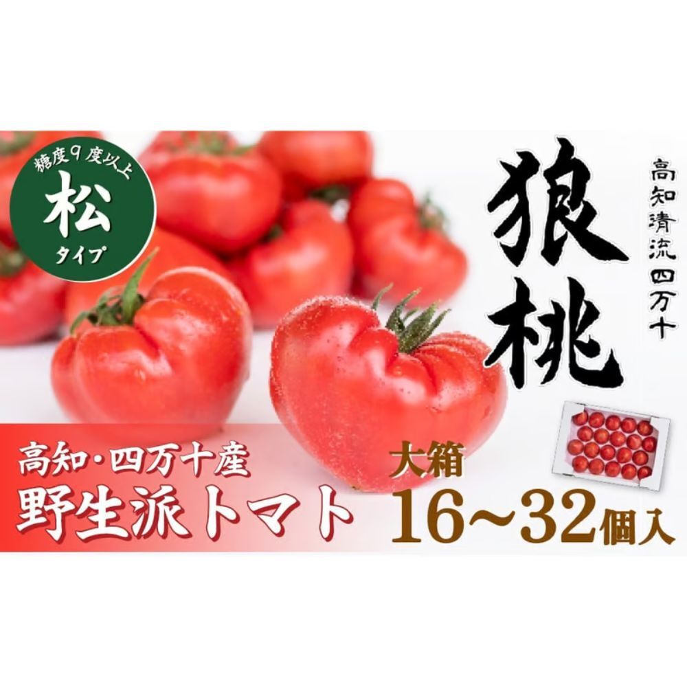 【ふるさと納税】【先行予約／2027年3月中旬から発送】四万十育ち「狼桃」 糖度9度以上　松タイプ 大箱（16～32個入） Fdf-B12 フルーツトマト トマト とまと 野菜 数量限定 期間限定 数量限定