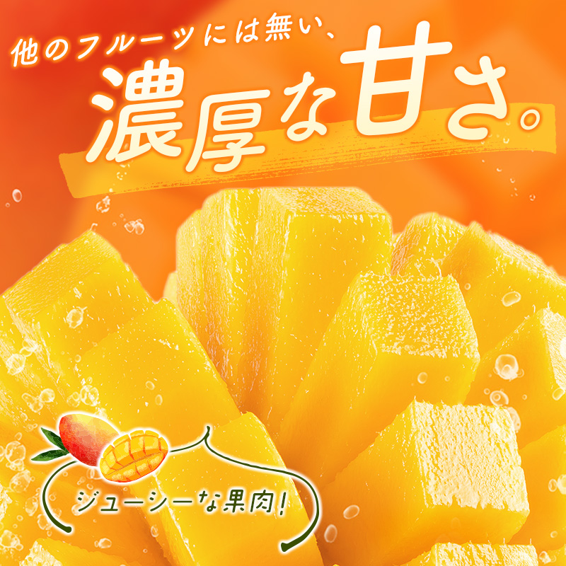 ＜数量限定＞宮崎県産 完熟マンゴー4L×2玉（計1kg以上）※2027年4月下旬配送開始 化粧箱入 フルーツ くだもの【C357-27】