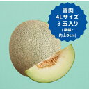 【ふるさと納税】【2025年先行予約】飯岡メロン　4Lサイズ(約1.6kg)×3玉セット(計約4.8kg)【1136457】