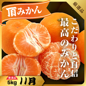 【発送月固定定期便】美味しいみかん柑橘のある暮らし【みかん・まどんな・きよみ】【G31-42】全3回【4058603】 YWTAC031