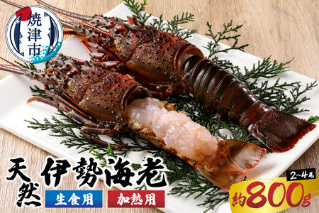伊勢海老 三昧セットA 刺身用＋焼物用 (a40-075)