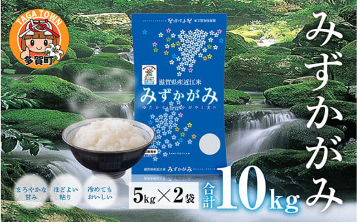 【産地直送米】”ほどよい粘りとまろやかな甘み”【令和5年産】みずかがみ 10kg（5kg × 2袋） BG無洗米 [B-00403]