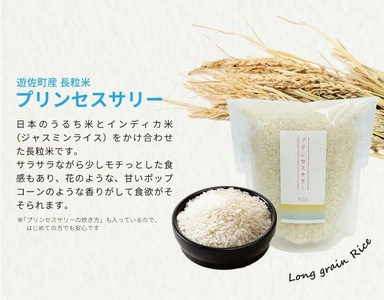 長粒米プリンセスサリー 3合（450g）リュテニッツァ 130g×1個 パプリカソルト 5g×2種 レシピ付き 遊佐のみのり 東北 山形県産 遊佐町 瓶詰 化学調味料・着色料・保存料不使用 国産野菜 