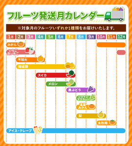 【 定期便 6回 】 2ヵ月毎にお届け！ フルーツ定期便！  高評価 （いちご みかん 不知火 スイカ ぶどう メロン シャインマスカット 梨 柿 アイス クレープ） 1年 フルーツ定期 フルーツ定期