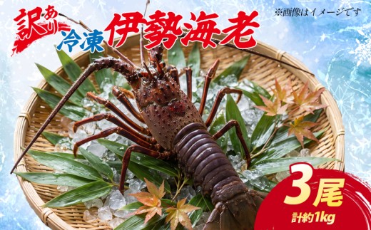 (冷凍) 訳あり 伊勢海老 3尾 加熱用 約1.0kg 伊勢 海老 エビ 伊勢エビ 訳アリ品 訳アリ 海鮮 海の幸 肩身焼き お味噌汁 焼き物 鍋 伊勢志摩 三重県 南伊勢町 丸池 38000円 三万八千円 40000円以下 四万円以下