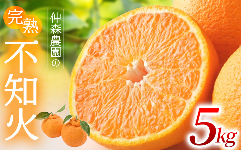 【数量限定】仲森農園の完熟不知火 5kg 【2026年2月～4月頃で順次発送】 みかん ミカン 蜜柑 柑橘 しらぬい 不知火 フルーツ 果物 くだもの 旬 甘い 産地直送 期間限定 三重県 熊野市 【nkmr0003】