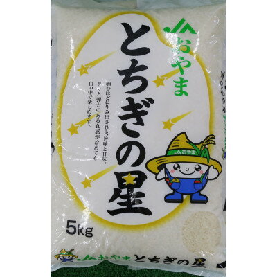 【ふるさと納税】令和7年産　栃木県小山市産　とちぎの星　精米5kg【1491372】