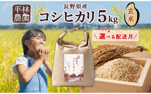 
                  【選べる配送月】令和8年産 コシヒカリ 玄米 5kg×1袋 長野県産 米 お米 ごはん ライス 低GI 甘み 農家直送 産直 信州 人気 ギフト お取り寄せ 平林農園 送料無料 長野県 大町市
                