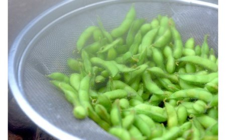 【地熱の里 坂本農園】先行予約 わいたの地熱で蒸した地獄蒸し枝豆 1kg