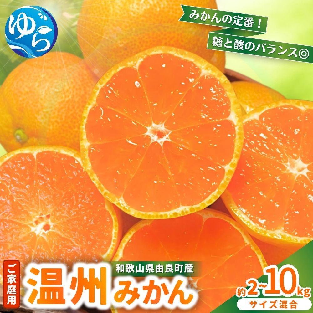 【ふるさと納税】家庭用 温州みかん 【選べる容量】 2kg～10kg 【先行予約】※2025年11月中旬頃～2025年12月中旬頃に順次発送 農家直送 / くだもの 果実 柑橘 果物 フルーツ 和歌山県 由良町 人気 おすすめ ご家庭用 家庭用 温州 ミカン みかん 1万円以下 5キロ 10キロ