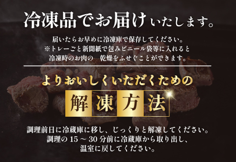 【祝！内閣総理大臣賞！＼日本一おいしいキャンペーン／】小林市産宮崎牛ヒレステーキ　4枚セット 宮崎牛 牛肉 肉 ステーキ ヒレ ヒレステーキ 数量限定